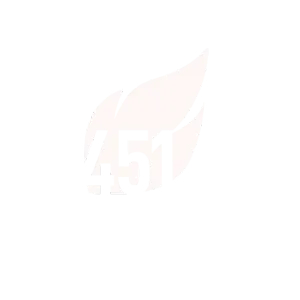 Логотип партнёра 451
