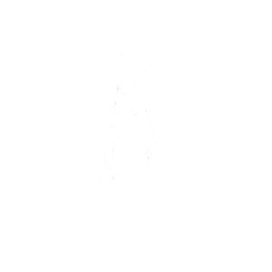 Логотип партнёра Колми