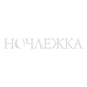 Логотип партнёра Ночлежка
